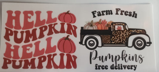 Fall 2