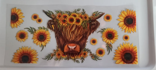 Highland Cow with Sunflowers