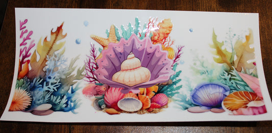 Ocean Sea Shell