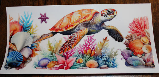 Ocean Sea Turtle 2