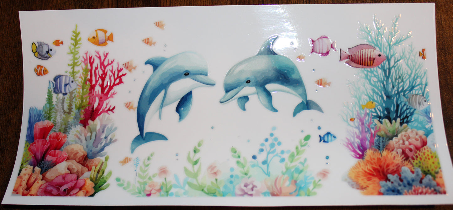 Ocean Dolphins