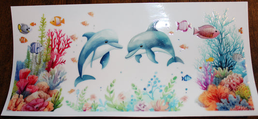 Ocean Dolphins
